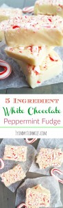 This dreamy fudge is super easy to make with only 5 ingredients and it is made in the microwave!