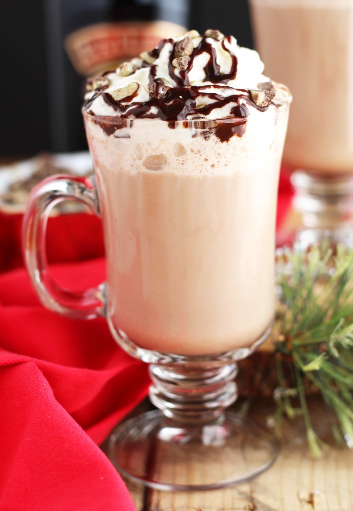 his Baileys Peppermint Hot Chocolate is the perfect Christmas Eve cocktail.  You can easily make a batch for the kids without the alcohol and add the Baileys and Peppermint Schnapps to your drink!  I just love hot chocolate in the wintertime and why not add a little kick to it?  This drink is so festive and beautiful when you top it with chocolate syrup, whipped cream and Andes Mint Chips.