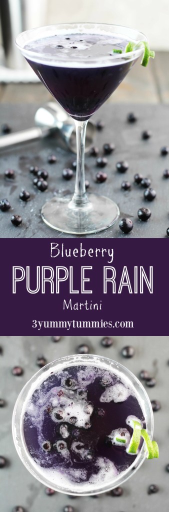 This martini is the perfect fusion of Blueberry Vodka, Blue Curacao and fruit juices with an added ingredient to give you the perfect purple cocktail!