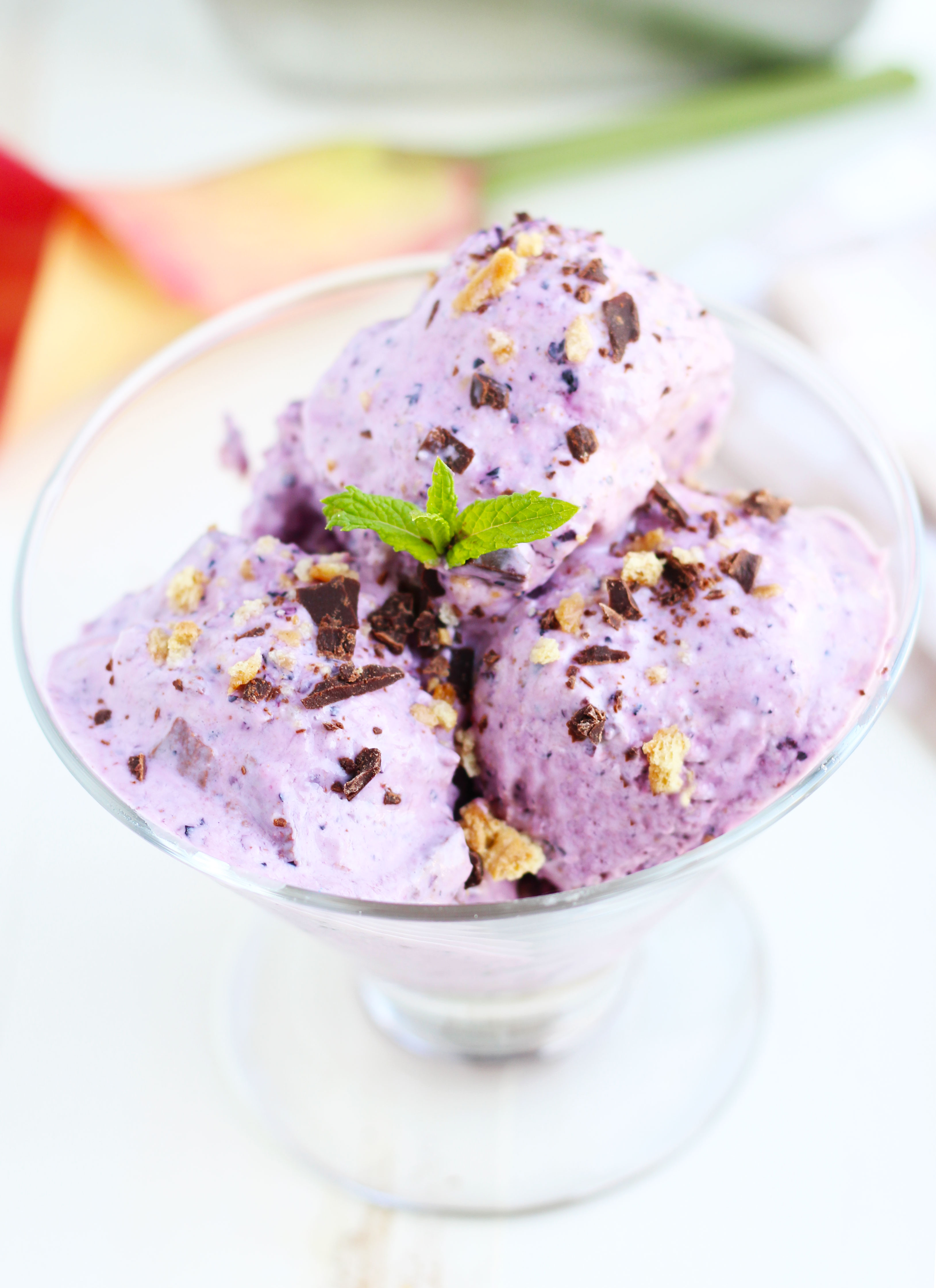 Dark-Chocolate-Blueberry-Cheesecake-Frozen-Yogurt-redo