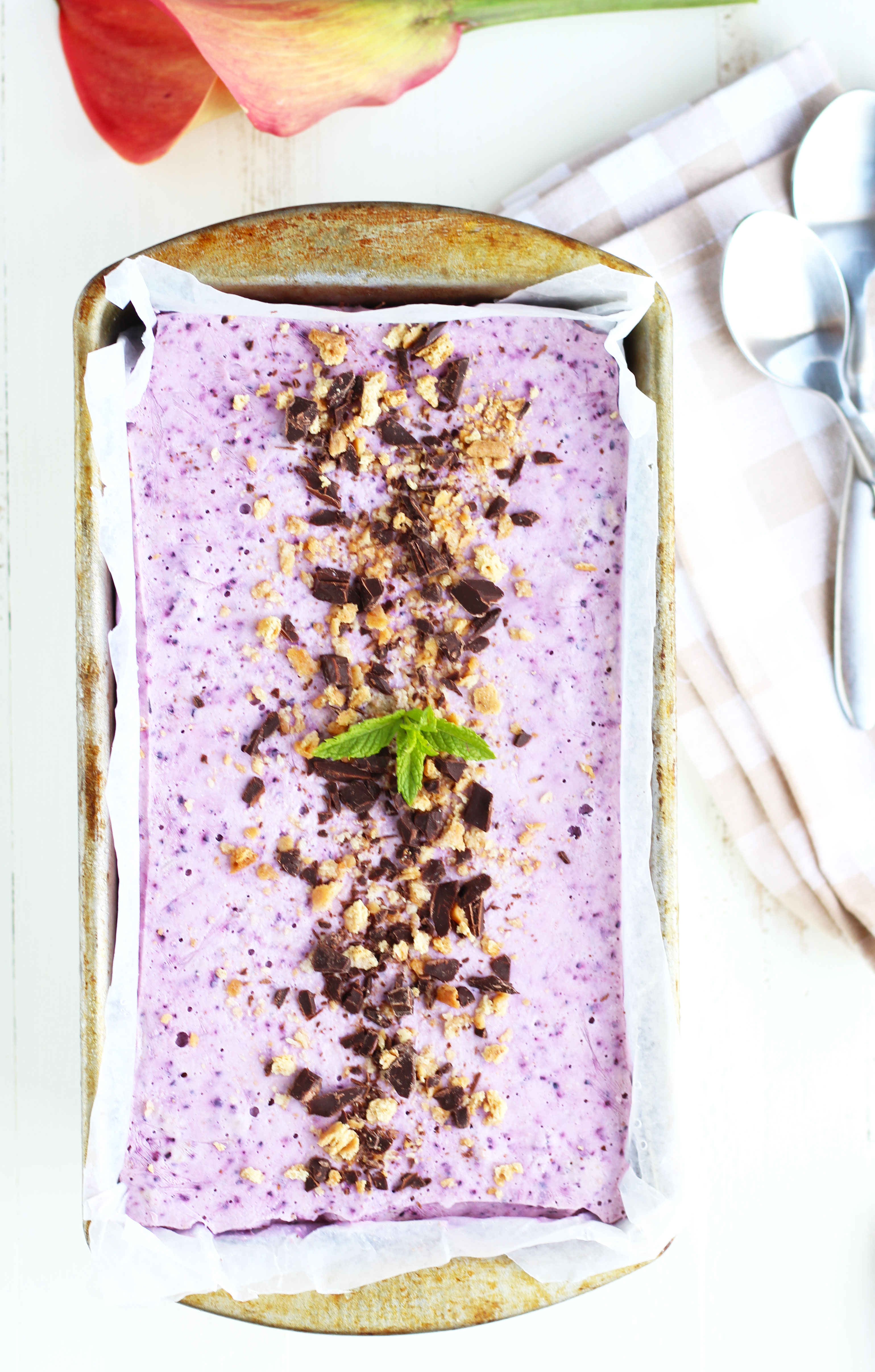 Dark-Chocolate-Blueberry-Cheesecake-Frozen-Yogurt11