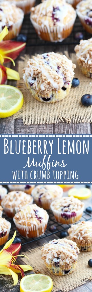 Blueberry Lemon Muffins with Crumb Topping