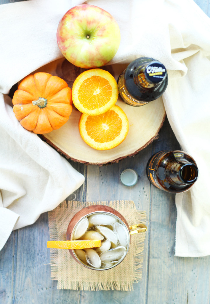 This Pumpkin Shandy is a refreshing light drink with pumpkin beer, apple cider, fresh orange juice and a splash of triple sec.  You can add equal parts alcohol and fruit juice or increase either to taste.  It also doesn't hurt to throw in a splash of vodka to kick things up a bit. 