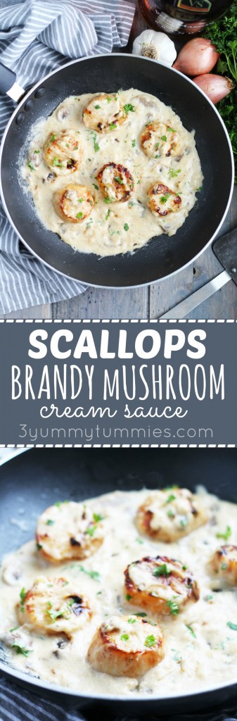 Scallops in Brandy Cream Sauce are the perfect aphrodisiac for Valentine's Day! They are super easy to make and on the table in less than 30 minutes.
