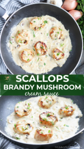 Scallops in Brandy Mushroom Cream Sauce are my favorite aphrodisiac to prepare for dinner on Valentine’s Day (with a side of lobster tail)! These are so easy to make and are on the table in under 30 minutes.