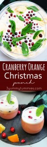 This Cranberry Orange Christmas Punch is perfect for pleasing a crowd! This creamy punch gets a kick with Prosecco and vodka.