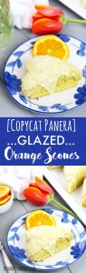These Glazed Orange Scones taste just like the Panera recipe!