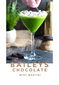 This Baileys Chocolate Mint Martini is a fun way to bring a little green to your spring or St. Patrick's Day.  It is so flavorful with Baileys, Peppermint Schnapps, vanilla vodka and Crème de Cacao.