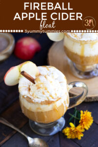 This Fireball Apple Cider Float is the perfect amount of sweet with a little action from the Fireball and Peach Schnapps. A cinnamon sugar rim and caramel sauce top off this delightful fall cocktail.